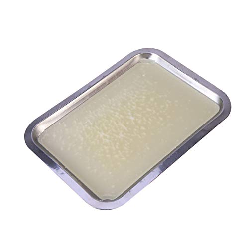 Hemobllo Wax Dissection Tray Stainless Steel Dissecting Pan with Wa for Junior Senior School