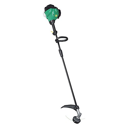 Weed Eater W25SBK 25cc Straight Shaft 2-Cycle Gas String Trimmer