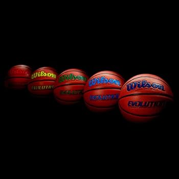 wilson evolution basketball amazon