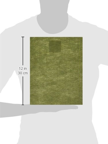 Rainbow Classic Felt 9"X12"-Olive