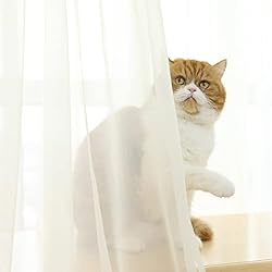 PHILEASY Window Sheer Beige Curtains 72 Inches Long