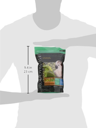 ROUDYBUSH DAILY MAINTENANCE BIRD FOOD, MEDIUM, 22-OUNCE, GREEN, 222MDDM
