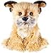 Webkinz Signature Border Terrier