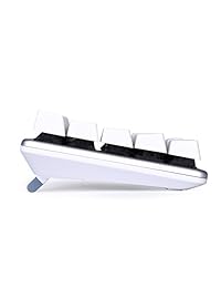 Teclado mecánico Gaming Keyboard Switch 68 keys Mini diseño (60 ), color café Gaming Wired Keyboard vienen con cable OTG de datos gratuito White Silver Magicforce por qisan