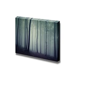 Canvas Prints Wall Art - Beautiful Scenery/Landscape Trees in a Dark Forest with Fog | Modern Wall Decor/Home Decoration Stretched Gallery Canvas Wrap Giclee Print & Ready to Hang - 12" x 18"