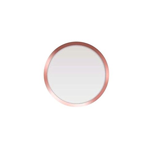 CELLBEE 2 x Home Button Touch ID Sticker Suitable for iPhone iPad Home Button Sticker White with Rose Ring 2.0 - Increases for iPhone 6 6s 7 8 Plus SE 2020 iPad Air Mini Tempered Glass