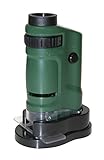 Carson MicroBrite 20x-40x LED Lighted Pocket Microscope for Learning, Education and Exploring (MM-24, MM-24MU)