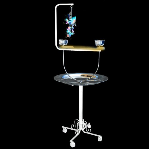 PARROT BIRD METAL PLAYSTAND PP B 72T toy cage cages toys gym african grey conure (WHITE)