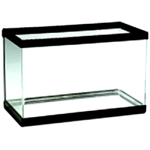 20 Gallon Glass Aquarium Tank Multicolor Great Fish Tank and Durable – Skroutz Deals