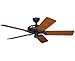 Hunter Outdoor Ceiling Fan Black 23838 52