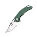 Firebird GANZO FH61-GB Pocket Folding Knife Razor Sharp D2 Steel Blade Ergonomic G10 Anti-Slip Handle with Clip Hunting Fishing Camping Gear Outdoor Folder EDC Pocket Knife (Green)