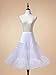 Remedios Women's 50s Vintage Petticoat Skirt Crinoline Tutu Underskirts for Women