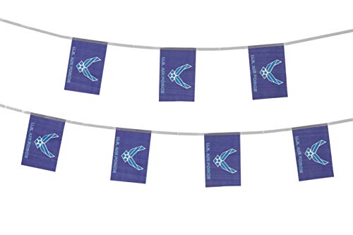TSMD 100 Feet US Air Force Wings Flag Small Mini United States Military Polyester Flags Banner,Decorations Supplies for Army Party Events Celebration