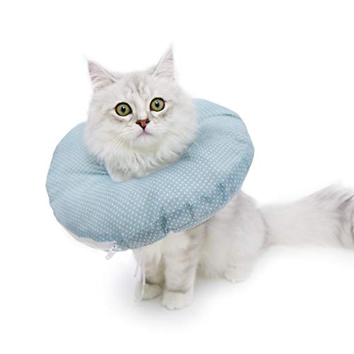 Elizabethan & Recovery Collars