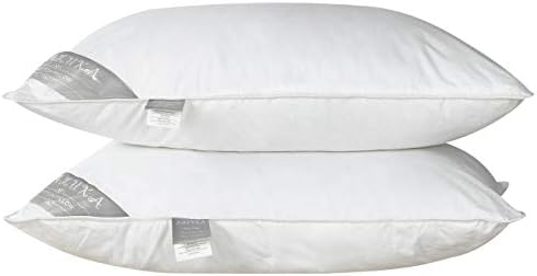 Naluka Pillows for Sleeping Queen Size 2 Pack, 100% Cotton Shell Dust-Mite Resistant Soft Cluster Fiber Filled Hotel Collection Plush Soft Pillow（20”x30”）
