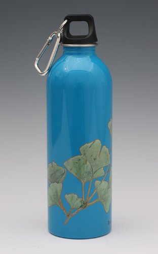EarthLust Stainless Steel Water Bottle 