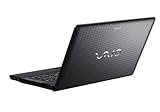Sony VAIO EJ2
