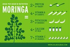Premium Pure Certified Organic Raw Moringa Oleifera Superfood Leaf Powder - Thumbnail 4
