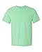 Comfort Colors Adult Heavyweight RS Pocket T-Shirt 2XL ISLAND REEF