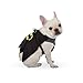 DC Comics for Pets Batman Harness for Dogs in Size Large | Superhero Dog Harness | Harness for Large Dog Breeds, Fun and Cute Halloween Dog Costume Great for Large Dogs