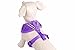 PUPTECK Soft Mesh Dog Harness and Leash Set Pet Puppy Cat Comfort Padded Vest No Pull Harnesses, Deep Purple, S