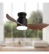 Flush Mount Ceiling Fan with Light 