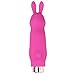 Silicone Rabbit Vibrator - Discreet Compact Clit Stimulator - Adult Novelty