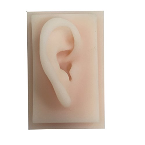 Roy Silicone Right Acupuncture Ear Model, Simulation Model of The Right Ear for Acupuncture Practice