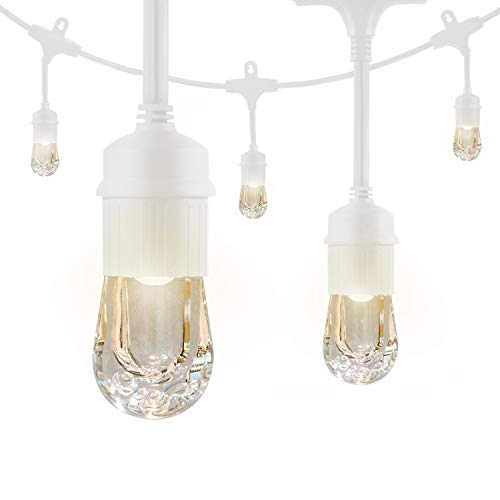 Enbrighten Classic LED Cafe String Lights, White, 24 Foot Length, 12 Impact Resistant Lifetime Bulbs, Premium, Shatterproof, Weatherproof, Indoor/Outdoor, Commercial Grade, UL Listed, 36803