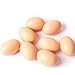 EQLEF Artificial Nest Eggs Fake Food Dummy House Decor (10pcs)
