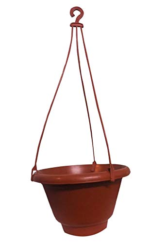 Cbay Hanging Flower Pot with Rope