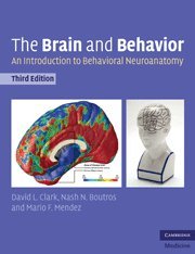 THE BRAIN AND BEHAVIOR