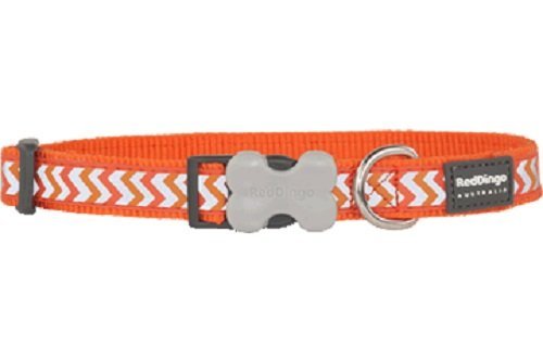 Red Dingo Reflective Ziggy Dog Collar, Medium-Large, Orange