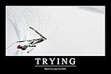 Trying Sometimes You Shouldnt Funny Demotivational Cool Wall Decor Art Print Poster 12x18