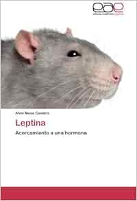 Leptina: Acercamiento a una hormona (Spanish Edition): Alvin Mena Cantero: 9783659050534: Amazon.com: Books