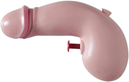 Express to You Great value present gift Great For Christmas, Birthday, Stocking Fillers, Secret Santa - Willy Water GunsGreat cheeky fun - Ideal for Men, Women, Man, Lady