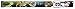 Buckle Down Big Boys Eevee Evolution Action Poses/type Scene Seatbelt Belt, multi, Regular