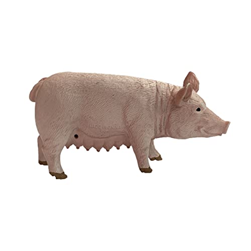 Pig