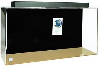 Acrylic Rectangle Aquarium 20 Gallon Clear