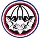 Magnet US Army Widowmakers 502nd Division Patch Decal Magnetic Sticker 5.5"
