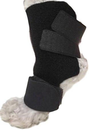 WagSafely Dog Hock Protector, Small