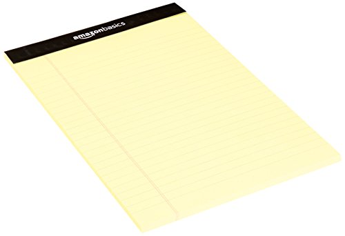 2 AmazonBasics+Narrow+Ruled+8+Inch+Writing