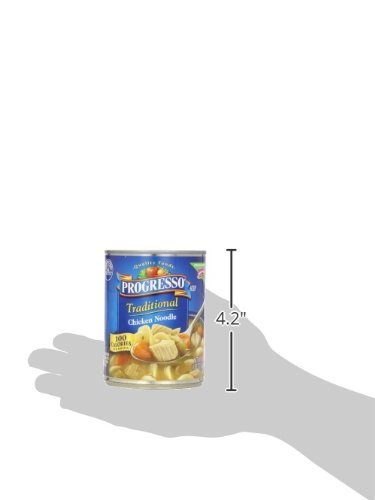 PROGRESSO CHICKEN NOODLE SOUP, 19 OUNCE