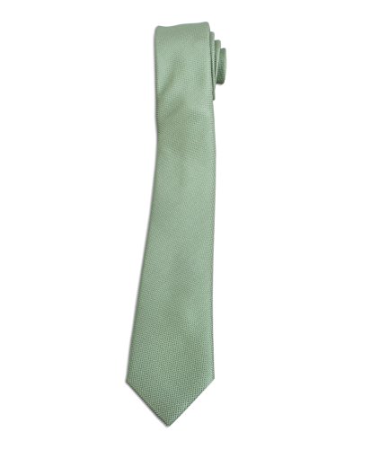 Laurant Bennet Polyester Solid Skinny Slim Men's Neckties-3 Pieces (Sage-3 Pieces)