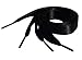 120cm/47 Long Black Satin Ribbon Shoelaces My Ribbon Laces™ Flat Ribbon Shoe Laces for Trainers, Boots & Shoes