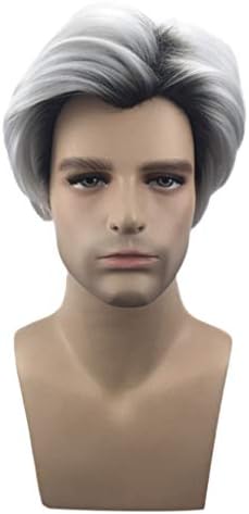 Curly Wigs For Mens Male Hairpiece Silver Synthetic Realistic Wave Medium Cosplay Side Pard Drag Goth Water Cheap Black Root