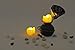 CANDLE CHOICE Battery Operated Flameless Votive Candles with Timer Realistic Flickering Fake Electric LED Tea Lights Tealights for Halloween Christmas Party Wedding Decorations Batteries Incl. 6 Pack