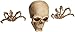 Dragon Crest Skeleton Wall Decor Set 3.87x3x5.75