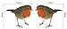 Full Colour Set of 2 Robin Wall Sticker Decals Cute Birds Home Interior Decoration Mural