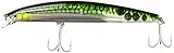 Daiwa Salt Pro 6